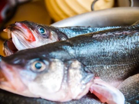 Close up of raw fish Stock Photos