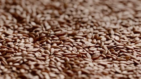 Close up of raw flaxseeds rotating Stock Footage 119872201