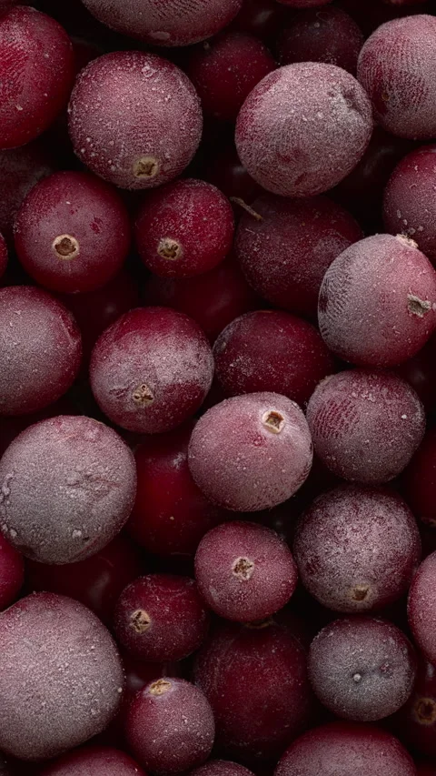 Close-up of raw, frozen cranberries. Vídeos de archivo 332494842