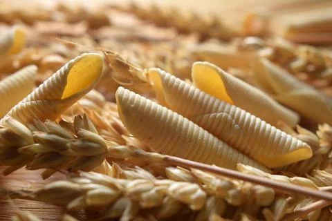 Close up on raw garganelli Stock Photos