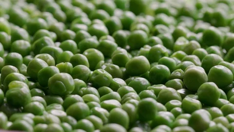 Close up of raw green peas in motion Stock Footage 119895052