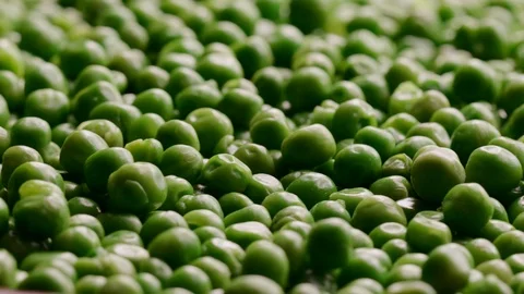 Close up of raw green peas in motion Stock Footage 119895774