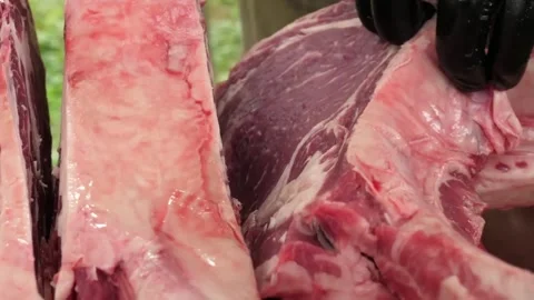 Close-up of Raw Marbled Ribeye Beef Steak Prepared for Barbecue Stock Footage 338212959