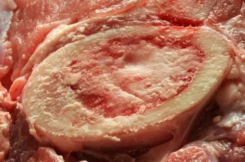 Close up on raw ossobuco Stock Photos