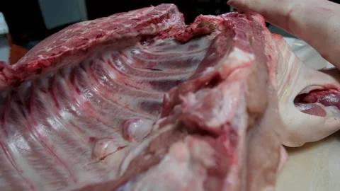 Close up of raw pork ribs attached to freshly butchered and split in half pig 库存影片 255422591