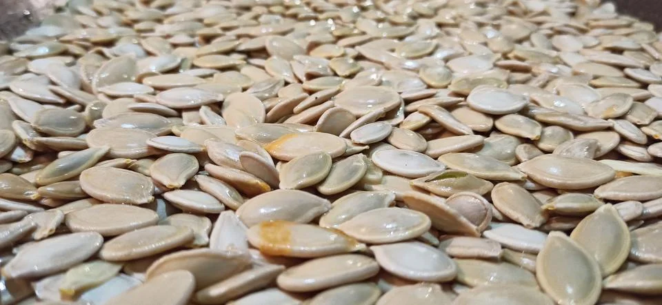 Close up of raw pumpkin seeds in shells with selective focus Stock Photos