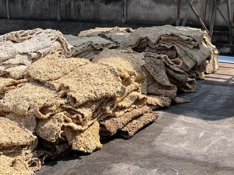 Close Up Raw Rubber Sheet After Rolling Process in Latex Industry Plantation. Foto stock