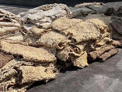 Close Up Raw Rubber Sheet After Rolling Process in Latex Industry Plantation. Stock Photos