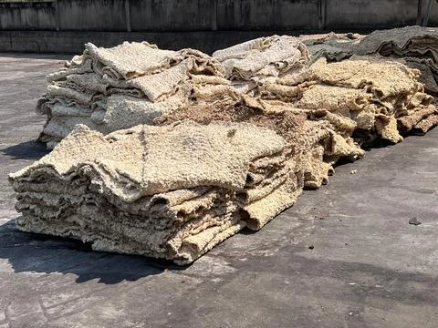 Close Up Raw Rubber Sheet After Rolling Process in Latex Industry Plantation. Stock Photos