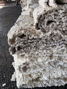 Close Up Raw Rubber Sheet After Rolling Process in Latex Industry Plantation. Foto stock