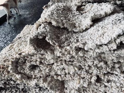 Close Up Raw Rubber Sheet After Rolling Process in Latex Industry Plantation. Stock-Fotos