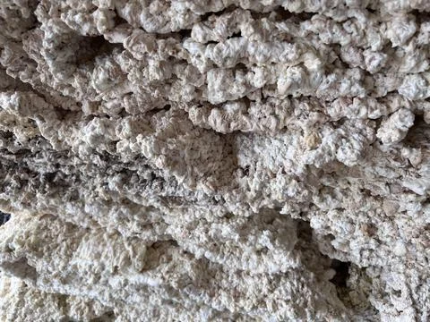 Close Up Raw Rubber Sheet After Rolling Process in Latex Industry Plantation. Foto stock