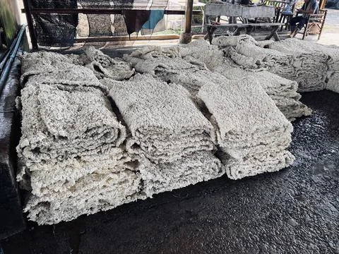 Close Up Raw Rubber Sheet After Rolling Process in Latex Industry Plantation. Stock Photos