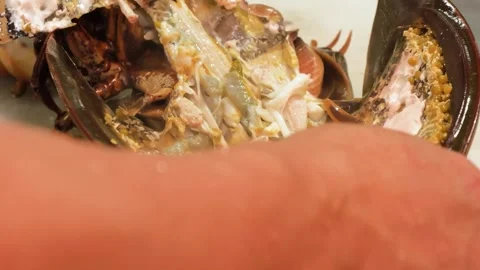 Close-up of Raw Seafood Processing and Shucking Horseshoe Crab Shell Stock-Footage 344221092