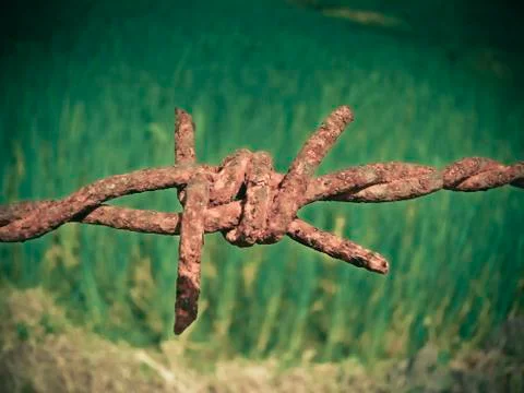 Close-up of razor wire compound Stock Photos