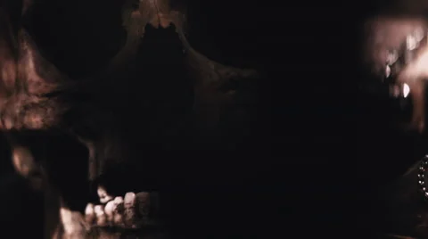 Close up of real human skull Stock Footage 59985800