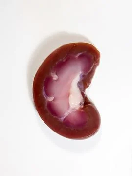Close-up with a real sectioned kidney Stockfoto's