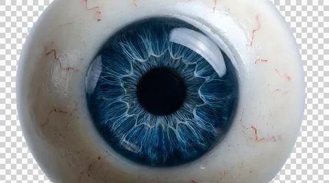 Close up of a realistic blue human eye iris Stock Illustration