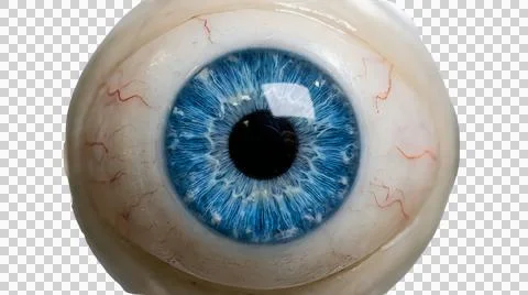 Close up of a realistic blue human eye looking forward Stock Illustration