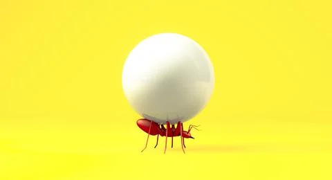 Close up realistic red ant lifting the white candy ball 库存插图