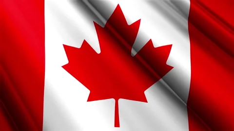 Close up realistic texture fabric flag of Canada waving fluttering background Stock Footage 271519669