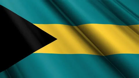 Close up realistic texture flag of Bahamas waving fluttering background Stock Footage 271517729