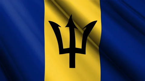Close up realistic texture flag of Barbados waving fluttering background Video stock 234339743