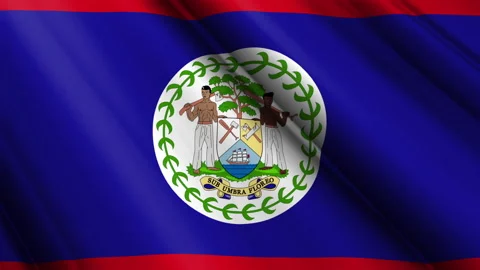 Close up realistic texture flag of Belize waving fluttering background Video stock 271517728