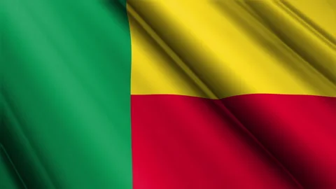 Close up realistic texture flag of Benin republic waving fluttering background Stock Footage 271518295