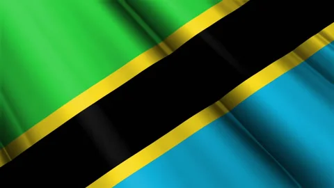 Close up realistic texture textile silk satin flag of Tanzania Stock Footage 232428001