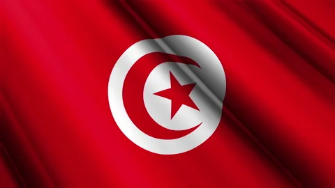 Close up realistic texture textile silk satin flag of Tunisia waving Stock Footage 232428699