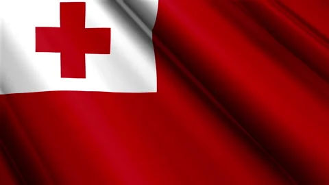 Close up realistic texture textile silk satin flag of Tonga Video stock 232428729