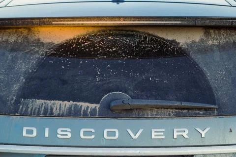 Close up rear window of car concept photo Фото