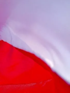 Close-up of a Red and Light Purple Fabric Texture Stock Photos