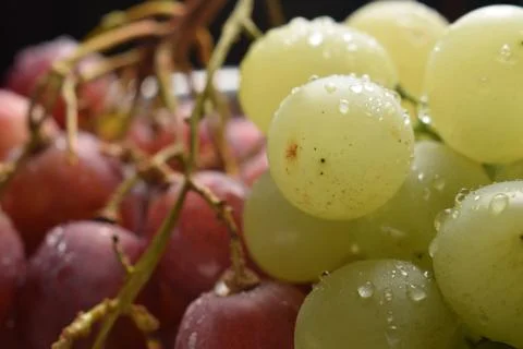 Close up on red and white table grapes Stock Photos