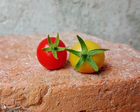 Close up of red and yellow cherry tomatoes on a rustic brick Stock Photos