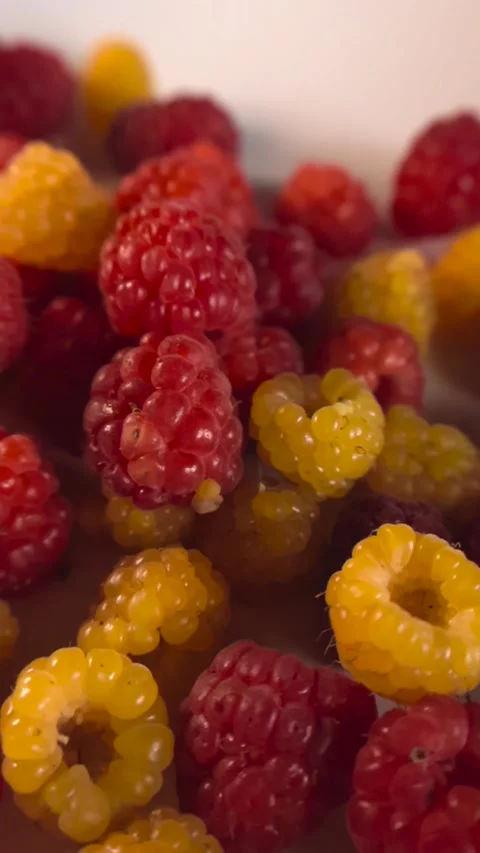 Close up of red and yellow raspberries on a white background Stock Footage 340147555