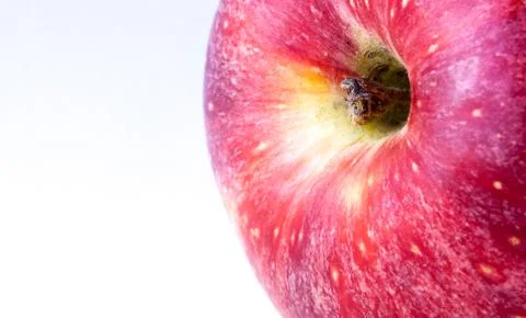 Close-up of red apple Stock Photos