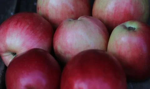 Close-up of red apples on the background of an old board. Stock Photos