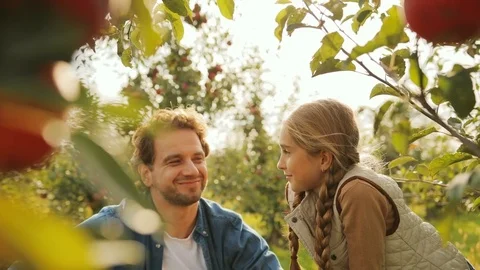 Close up of red apples hanging on the apple tree and a cute little girl plucking Stock Footage 82636469