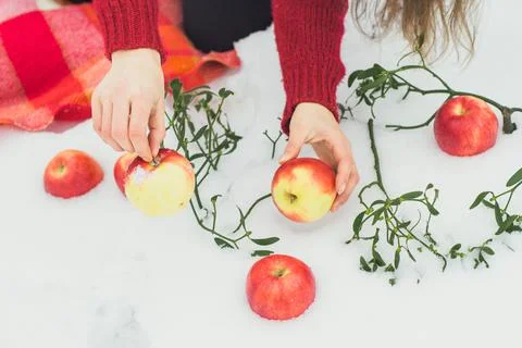 Close up red apples lying in snow concept photo Stock Photos