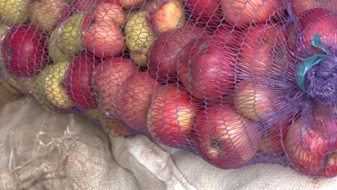 Close-Up of Red Apples in Mesh Produce Bag at Autumn Harvest Stock Footage 290065385