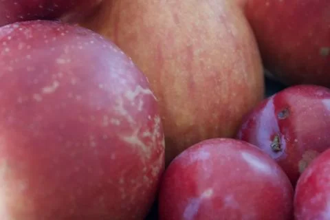 Close-up of red apples Stock Photos