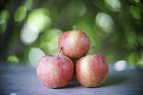 Close up of red apples, Spain Stock Photos