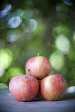 Close up of red apples, Spain Stock Photos
