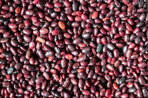 Close up Red bean seeds background. Vegan food. Stock Photos