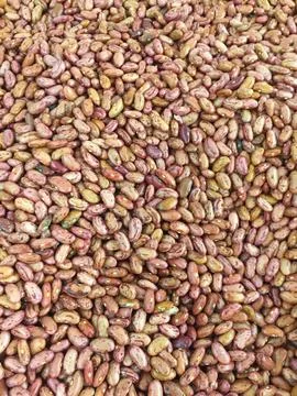 Close up Red beans background, Red beans seeds 写真素材