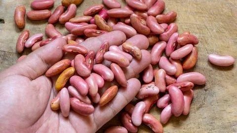 Close up of red beans. red beans background seeds Stock Photos