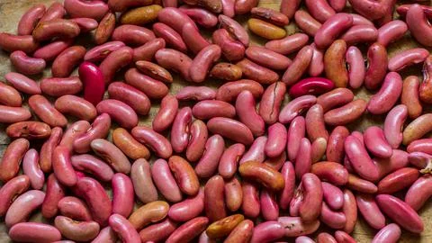Close up of red beans. red beans background seeds Stock Photos