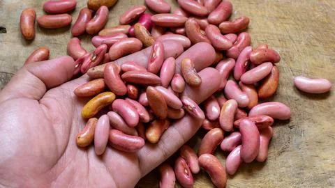 Close up of red beans. red beans background seeds Stock Photos